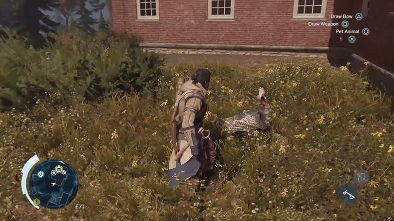 Assasins creed Turkey easter egg